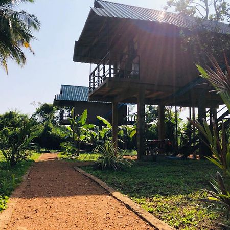فيلا Sigiriya Paddy Field Hut الغرفة الصورة