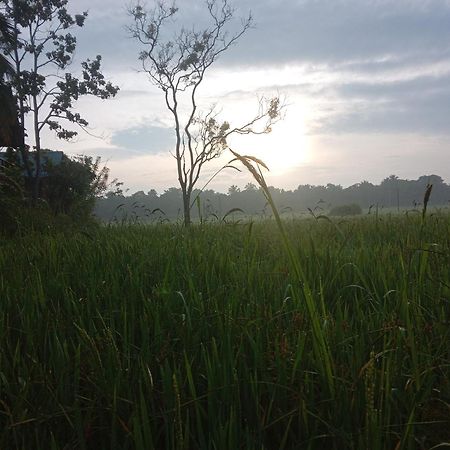 فيلا Sigiriya Paddy Field Hut الغرفة الصورة