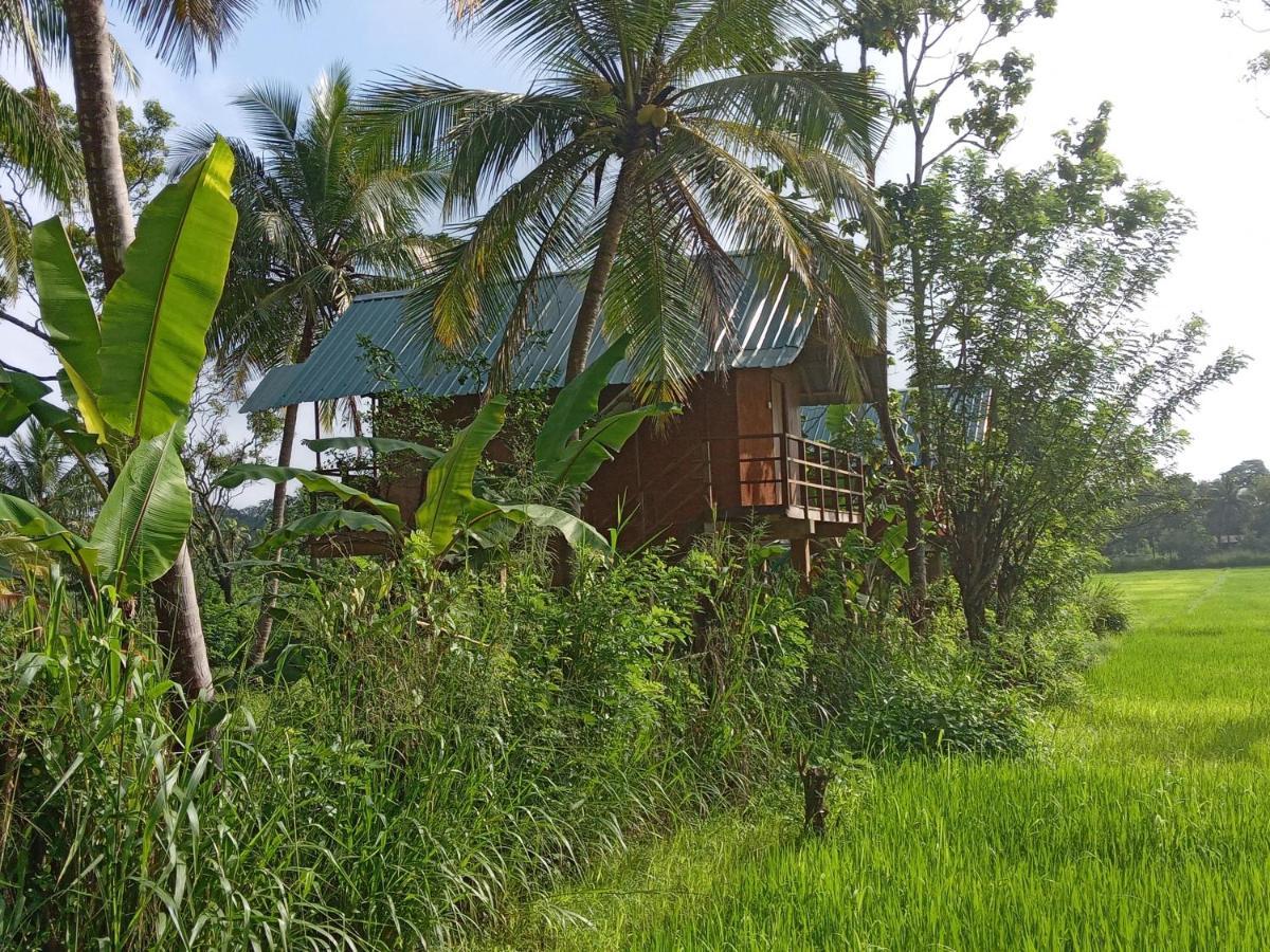 فيلا Sigiriya Paddy Field Hut المظهر الخارجي الصورة