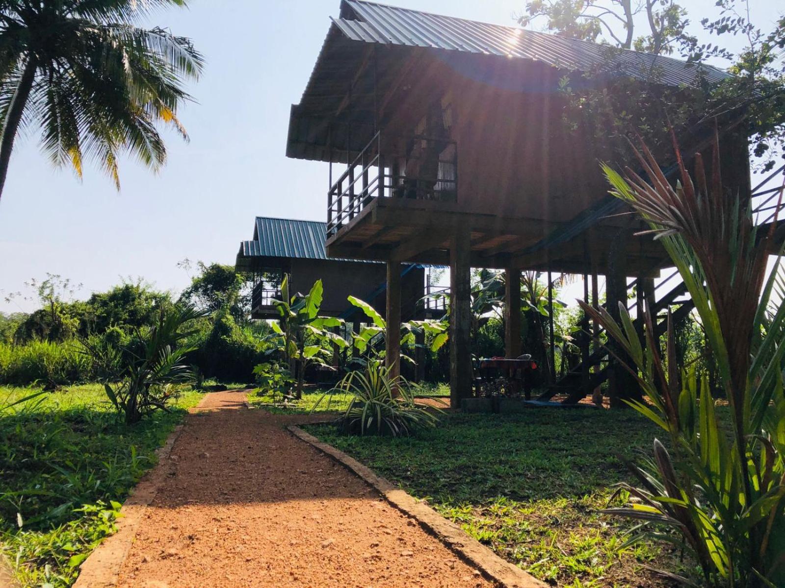 فيلا Sigiriya Paddy Field Hut الغرفة الصورة