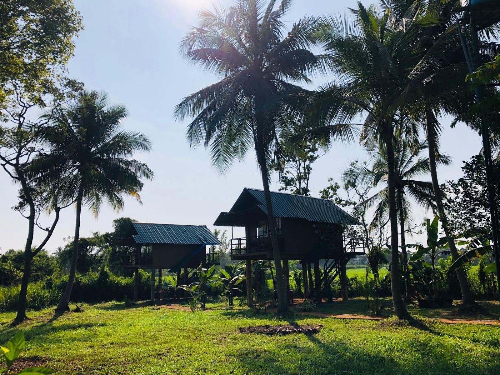 فيلا Sigiriya Paddy Field Hut الغرفة الصورة